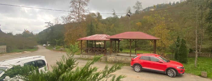 Yeşil Vadi Yöresel Et Balık Restaurant is one of Trabzon - Kamp ve Seyir.