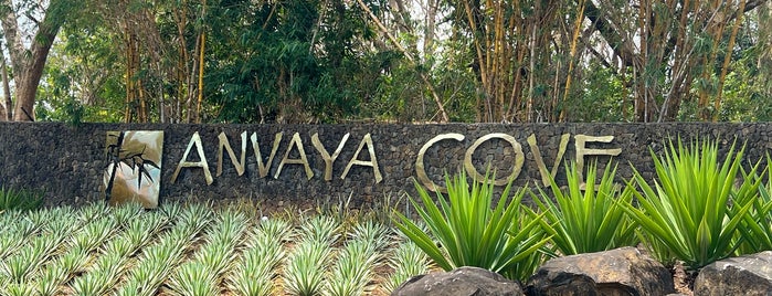 Anvaya Cove Beach & Nature Club is one of Places.