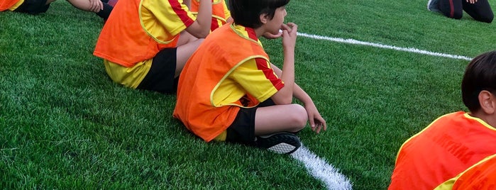 Göztepe Spor Klubü - Futbol Akademisi is one of Tempat yang Disukai Mehmet.