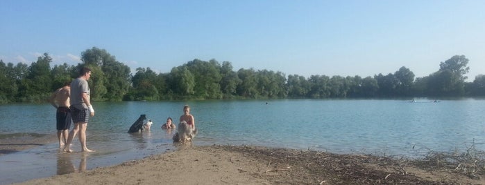 Baggersee