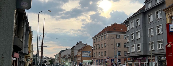 U Kaštanu (tram) is one of Tramvajové zastávky v Praze.