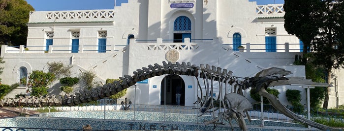 Musée Océanographique de Salammbô is one of Детки в Тунисе.
