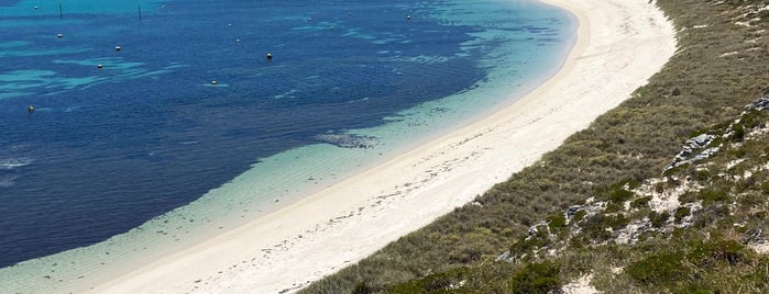 Little Parakeet Bay is one of Beaches.