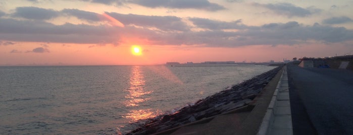 Mihama-ohashi Bridge is one of สถานที่ที่ Sada ถูกใจ.