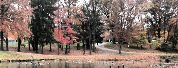 Freedlander Park is one of Nature.