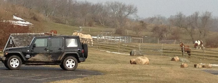 Theodore Roosevelt County Park is one of Posti che sono piaciuti a E.