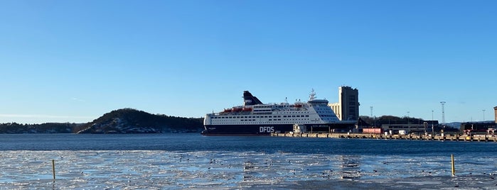 Bjørvika is one of Oslo.
