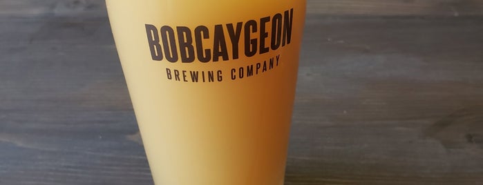 Bobcaygeon Brewing Company is one of Lieux qui ont plu à Richard.