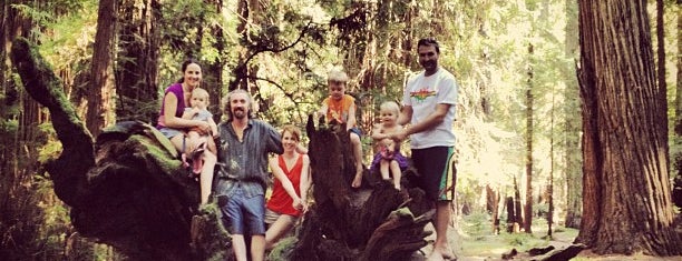 Montgomery Woods State Natural Reserve is one of MENDOCINO, CA.