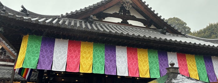 安倍文殊院 is one of 参拝した寺院.
