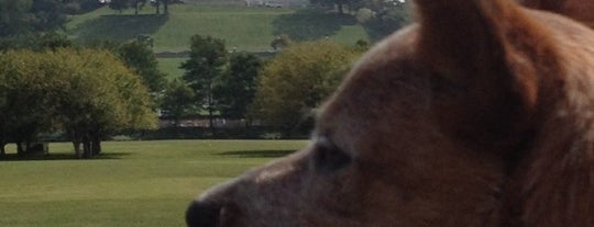 Bicentennial Capitol Mall State Park is one of Let's go! Nashville.