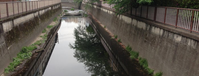 荻野橋 is one of 善福寺川に架かる橋.