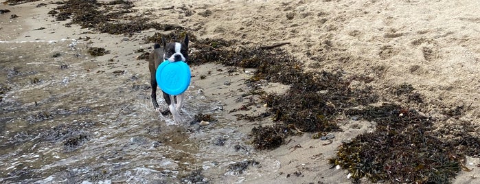 Dog Beach is one of Hudson Valley Outdoors.