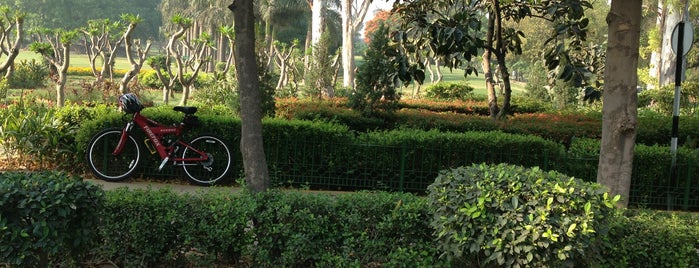 Running Trail @ Nehru Garden is one of del hangouts.