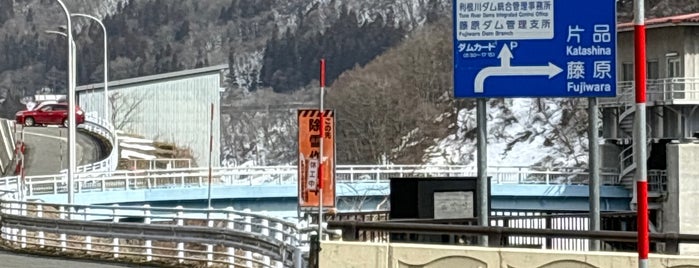 Fujiwara Dam is one of Minami'nin Beğendiği Mekanlar.