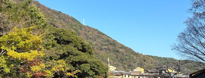 Hakone-Yumoto is one of Tokyo 2 (2016).