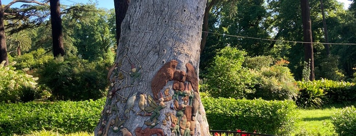 The Fairies' Tree is one of Melbourne.