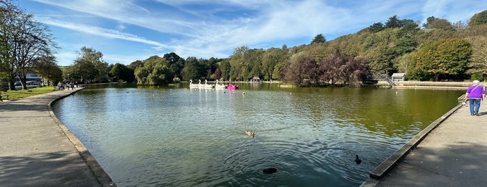 Helston Boating Lake is one of Cornwall - places to go.