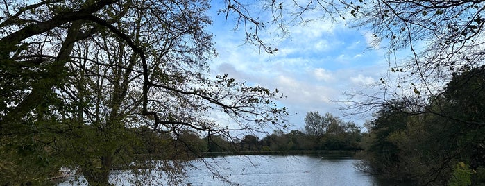 Highgate Men's Bathing Pond is one of Must-visit Great Outdoors in London.