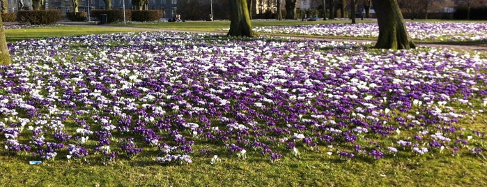 Rådhusparken is one of Guide To Aarhus.