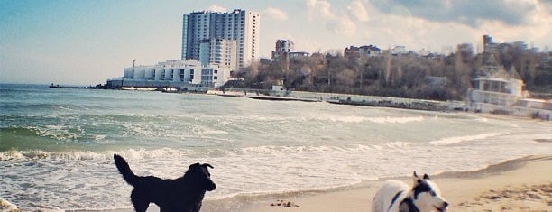 Пляж Аркаді (Arcadia Beach) is one of Odessa.
