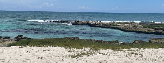 Caleta Tankah is one of Riviera Maya.