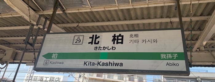 北柏駅 is one of JR 키타칸토지방역 (JR 北関東地方の駅).