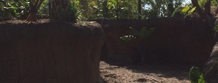 Jacksonville Zoo warty Pig is one of สถานที่ที่ Lizzie ถูกใจ.