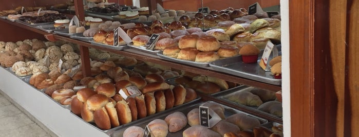 Panadería Colón is one of Veracruz.