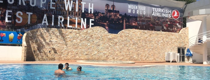 Dedeman Hotel Swimming Pool is one of Ташкент. Интересные места.