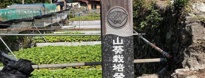 わさび栽培発祥の地 (井戸頭のわさび田) is one of 静岡のToDo.