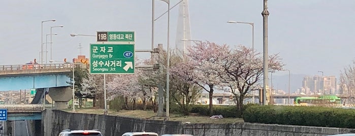 영동대교 북단 is one of Top picks for Bridges.