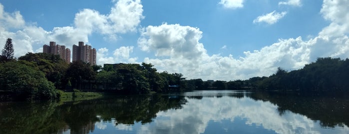 Lago Azul is one of Impacto Filial Rio Claro.