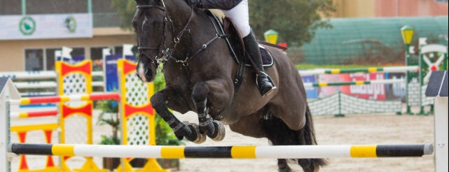 International Riding School is one of Lieux qui ont plu à Azad.