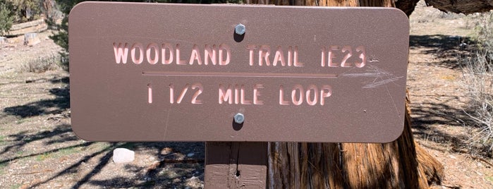 Woodland Trail is one of Tempat yang Disukai Glenda.