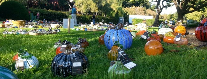 Great Glass Pumpkin Patch is one of Posti che sono piaciuti a Craig.