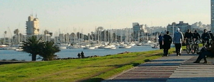 Puertito del Buceo is one of Montevideo.