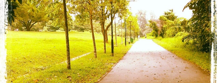 Chinese Garden Park Connector is one of Trek Across Singapore.