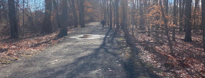 Kennedy Dells Park is one of Hiking Trails.