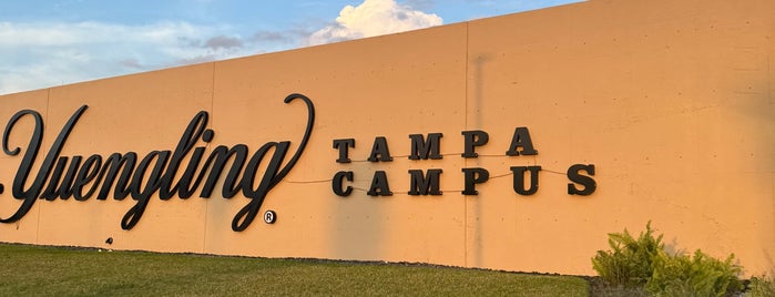 Yuengling Brewery is one of best beer spots in the Tampa bay area.