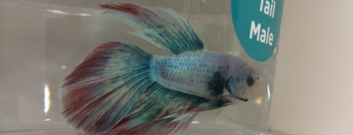 Petco is one of Davianaさんのお気に入りスポット.