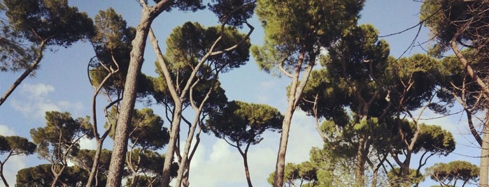 Villa Borghese is one of Rome for friends.