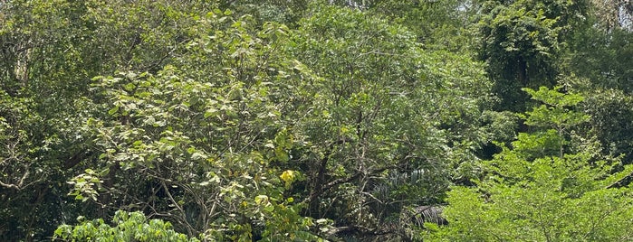 Hutan Simpan Gunung Tampin is one of Round-Round Malaysia!.