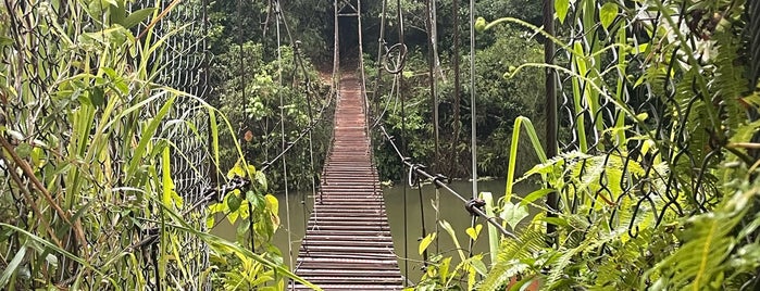 Puente hamaca is one of Places to Visit.