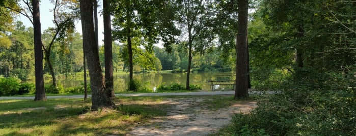 Collins Park is one of สถานที่ที่ Juliana ถูกใจ.