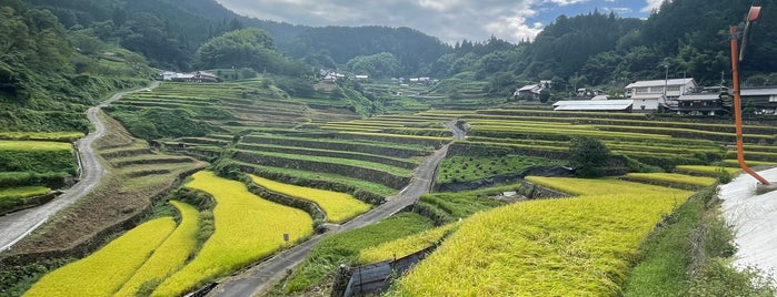 Ini Rice Terraces is one of 日本の棚田百選.