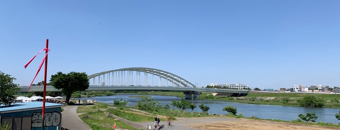 登戸の渡し is one of 多摩川.