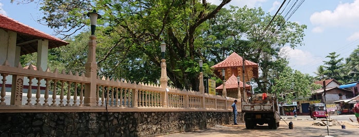 Saman Dewalaya is one of Шри-ланка.
