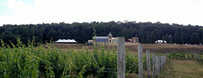 Heron Hill Winery is one of Locais curtidos por Glen.