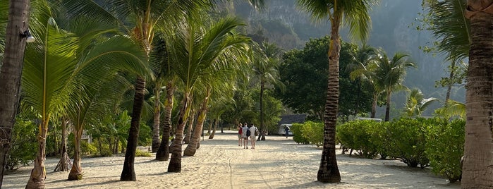 Paradise Koh Yao Boutique Beach Resort & Spa is one of Hoteles.
